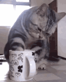 Coffee Lick GIF - Coffee Lick Cat GIFs