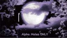 Alphamalesonly GIF - Alphamalesonly GIFs
