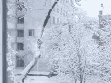 Window Cold GIF