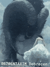 a woman in a white dress is standing in front of a monster with horns that says 0670entaxim debrecen