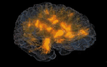 brain 3d image rotate flashes activity