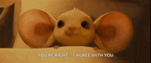 a close up of a cartoon mouse with big ears and the words `` you 're right ... i agree with you '' .