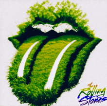 The Rolling Stones Mick Jagger GIF