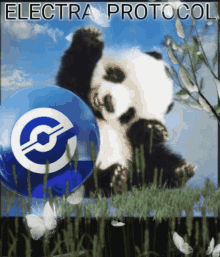 Electra Xep GIF - Electra Xep Panda GIFs