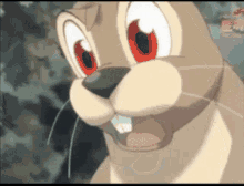 Bunny Funny GIF - Bunny Funny Wtf Is Going On GIFs