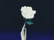Rose White GIF - Rose White GIFs