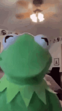 Kermit The Frog Kermit GIF - Kermit The Frog Kermit Tiktok GIFs