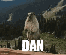 Dan Scream GIF - Dan Scream Beaver GIFs
