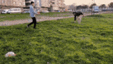 two people are playing in a grassy field with a skateboard