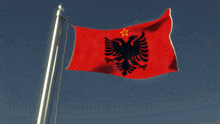 a red flag with an eagle and a yellow star on it