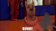 Scooby Doo Bunny GIF - Scooby Doo Bunny Picture GIFs