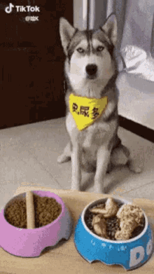 Dog Fake Meal GIF - Dog Fake Meal Wtf GIFs