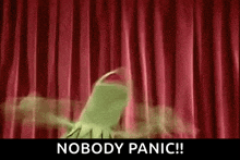 kermit the frog is standing in front of a red curtain and saying `` nobody panic ! ''