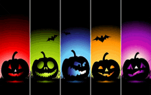 Happy Halloween Carved Pumpkins GIF - Happy Halloween Carved Pumpkins Bats GIFs