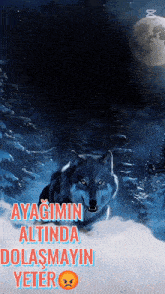 a painting of a wolf with the words ayagimin altinda dolasmayin yeter