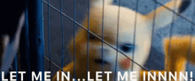 Let Me In Pikachu GIF - Let Me In Pikachu Detective Pikachu GIFs