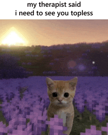 a cat is standing in a field of purple flowers with a caption that says my therapist said i need to see you topless