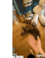 a person is holding a dog 's paw in front of a teddy bear .