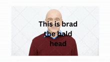 Brad Bradleylitchy GIF - Brad Bradleylitchy Litchymcowner GIFs