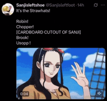 a screenshot of robin from one piece with a caption that says robin chopper cardboard cutout of sanji brook usopp