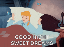 Cinderella Sleeping GIF - Cinderella Sleeping Beauty GIFs