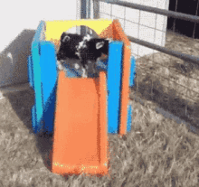 Goat Slide GIF - Goat Slide Fall GIFs
