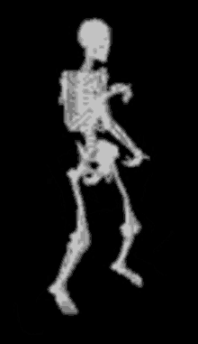 Vector Skeleton GIF - Vector Skeleton Twerk GIFs