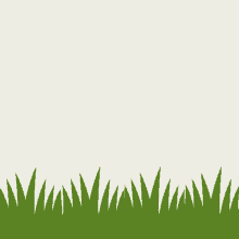 Grass Growing GIFs | Tenor