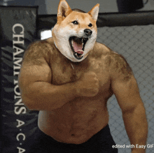 Doge Strong GIF - Doge Strong Wrestler GIFs