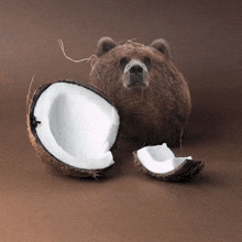 a bear made out of a coconut with a broken coconut next to it