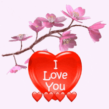 I Love You Cherry Blossom GIF