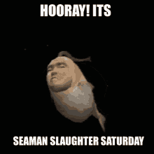Seamanslaughtersaturday Seaman GIF