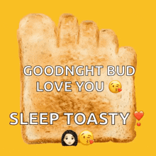 a piece of toast that says goodnight bud love you sleep toasty on it