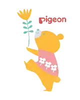an illustration of a teddy bear holding a flower with the word pigeon above it