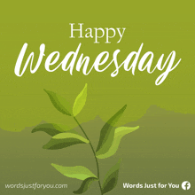Happy Wednesday Greetings GIF - Happy Wednesday Greetings Weekday GIFs