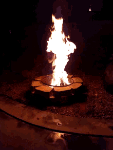 Now Thats A Fire Firepit GIF