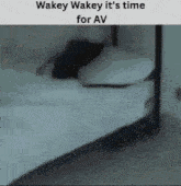 a person is laying on a bed with a caption that says wakey wakey it 's time for av