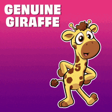 a picture of a giraffe with the words " genuine giraffe " above it
