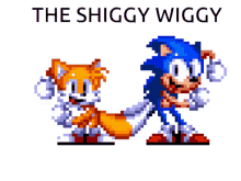 Shiggy Wiggy The GIF - Shiggy Wiggy The Shiggy GIFs