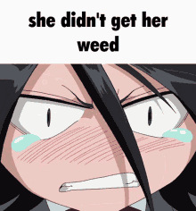 Rukia Kuchiki Bleach GIF - Rukia Kuchiki Bleach She Didnt Get Her Weed GIFs