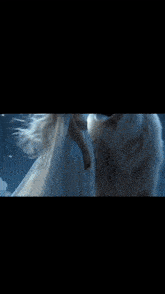 a woman in a white dress stands next to a white lion in front of a full moon and the words moon prf