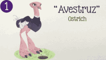 Avestruz Ostrich GIF - Avestruz Ostrich Enojada GIFs
