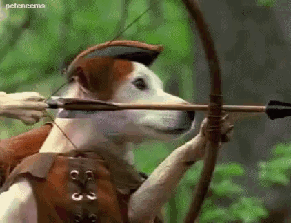 Wishbone Doge GIF Wishbone Doge Pbs Discover Share GIFs