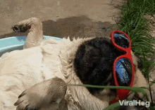 Chilling Relaxed GIF - Chilling Relaxed Weekend GIFs
