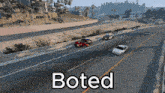 a screenshot of a video game with the words boted on the bottom
