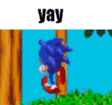Yay Sonic GIF - Yay Sonic GIFs