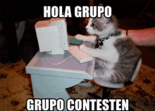 Hola Grupo GIF - Hola Grupo Cat Grupo Contesten GIFs