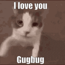 Guggy Gugbug GIF - Guggy Gugbug I Love You Guggy GIFs