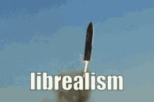 Liberal Spacex GIF - Liberal Spacex Reality GIFs
