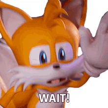 wait tails sonic prime hold on wait for a sec